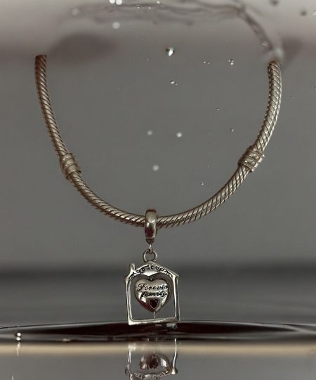 925 Ayar Gümüş Forever Family Charm