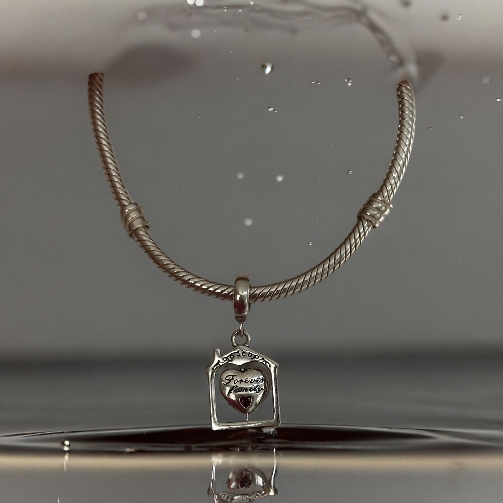 925 Ayar Gümüş Forever Family Charm